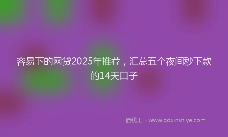 容易下的网贷2025年推荐，汇总五个夜间秒下款的14天口子