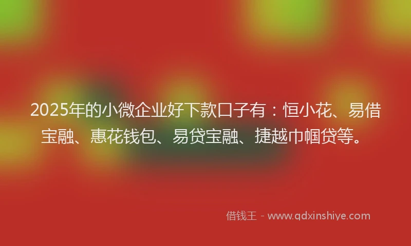 2025年的小微企业好下款口子有：恒小花、易借宝融、惠花钱包、易贷宝融、捷越巾帼贷等。