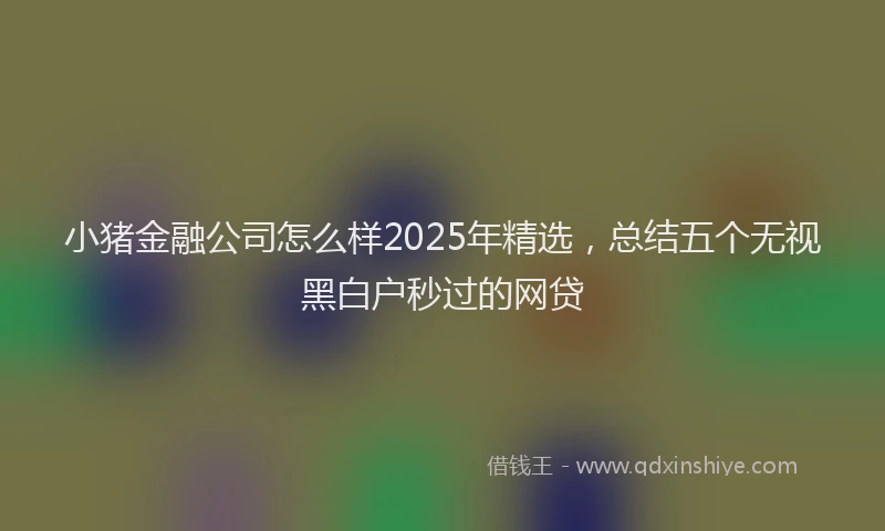 小猪金融公司怎么样2025年精选，总结五个无视黑白户秒过的网贷