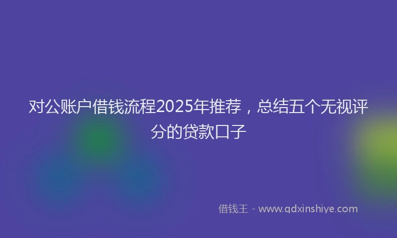 对公账户借钱流程2025年推荐，总结五个无视评分的贷款口子
