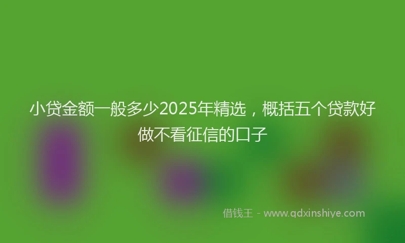 小贷金额一般多少2025年精选，概括五个贷款好做不看征信的口子