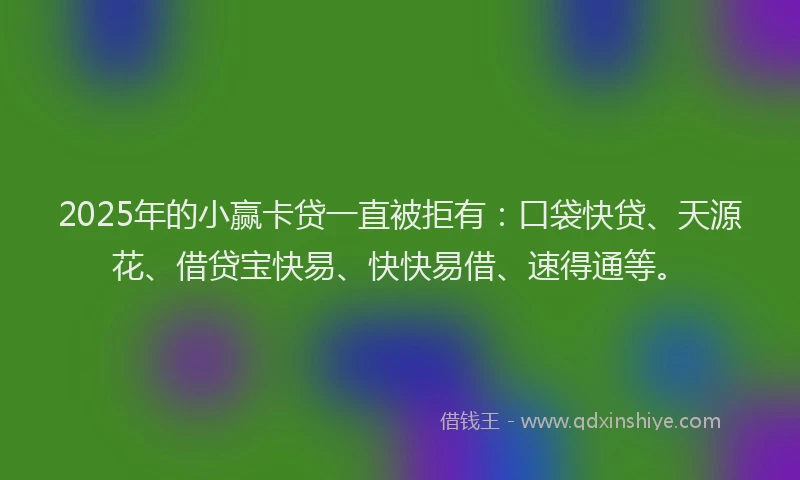 2025年的小赢卡贷一直被拒有：口袋快贷、天源花、借贷宝快易、快快易借、速得通等。