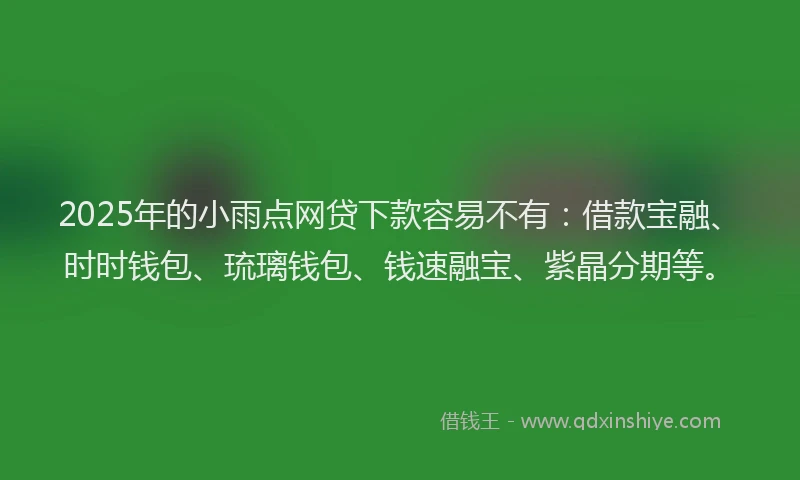 2025年的小雨点网贷下款容易不有：借款宝融、时时钱包、琉璃钱包、钱速融宝、紫晶分期等。