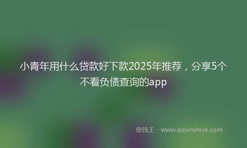 小青年用什么贷款好下款2025年推荐，分享5个不看负债查询的app
