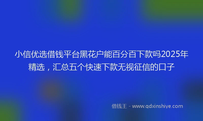 小信优选借钱平台黑花户能百分百下款吗2025年精选，汇总五个快速下款无视征信的口子