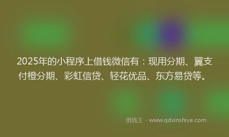 2025年的小程序上借钱微信有：现用分期、翼支付橙分期、彩虹信贷、轻花优品、东方易贷等。