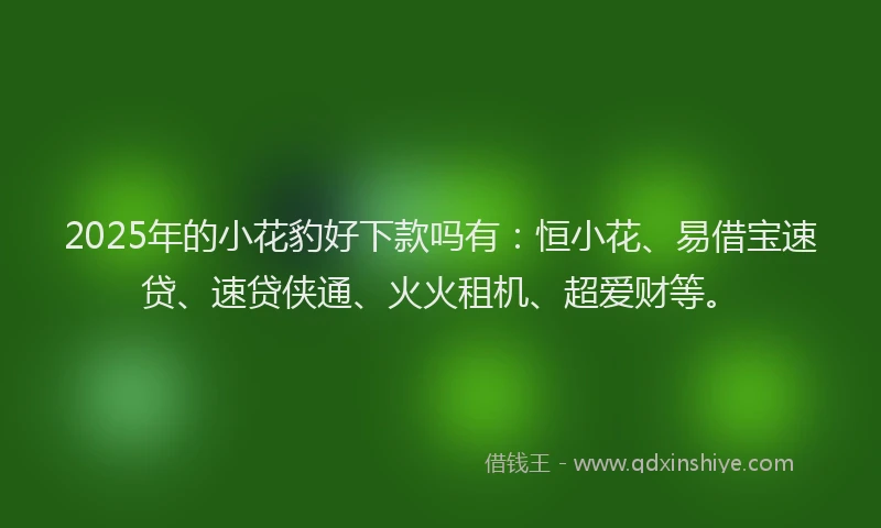 2025年的小花豹好下款吗有：恒小花、易借宝速贷、速贷侠通、火火租机、超爱财等。