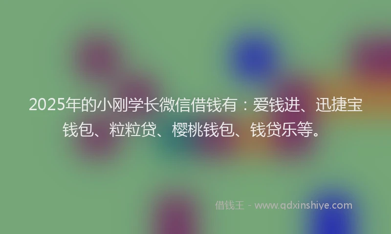 2025年的小刚学长微信借钱有：爱钱进、迅捷宝钱包、粒粒贷、樱桃钱包、钱贷乐等。