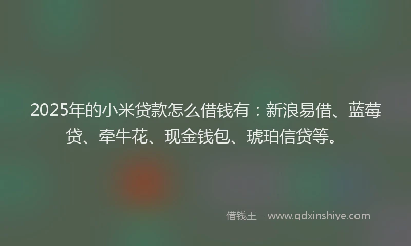 2025年的小米贷款怎么借钱有：新浪易借、蓝莓贷、牵牛花、现金钱包、琥珀信贷等。