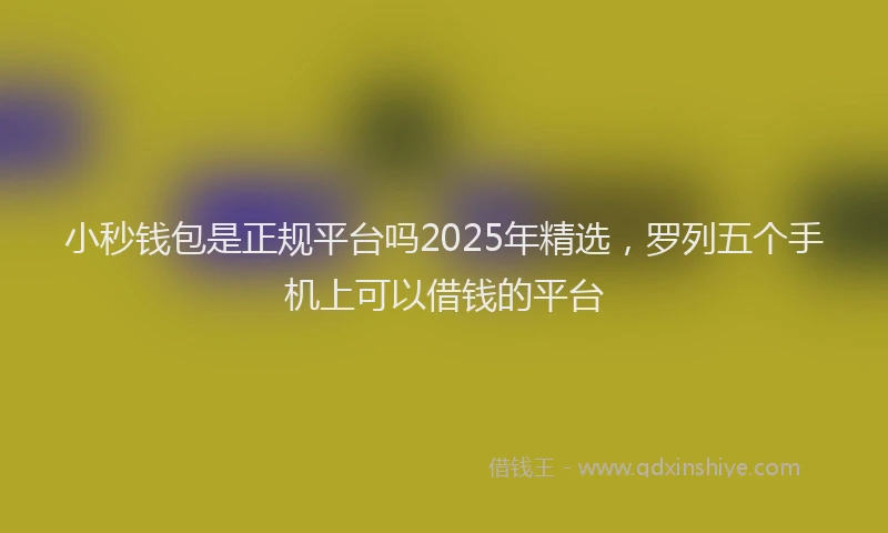小秒钱包是正规平台吗2025年精选，罗列五个手机上可以借钱的平台