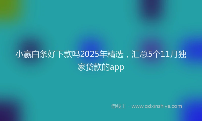 小赢白条好下款吗2025年精选，汇总5个11月独家贷款的app