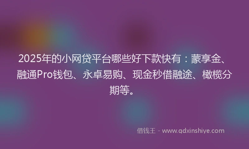 2025年的小网贷平台哪些好下款快有：蒙享金、融通Pro钱包、永卓易购、现金秒借融途、橄榄分期等。