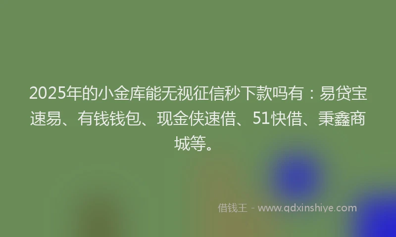 2025年的小金库能无视征信秒下款吗有：易贷宝速易、有钱钱包、现金侠速借、51快借、秉鑫商城等。