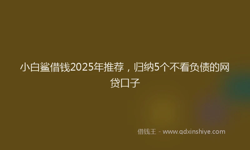 小白鲨借钱2025年推荐，归纳5个不看负债的网贷口子