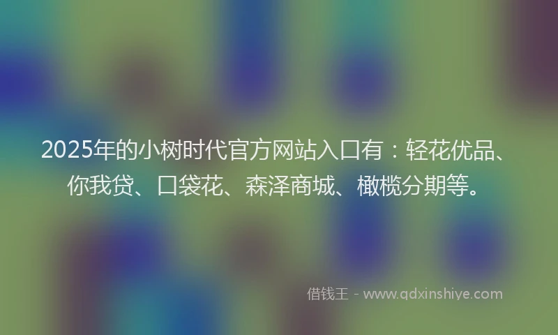 2025年的小树时代官方网站入口有：轻花优品、你我贷、口袋花、森泽商城、橄榄分期等。