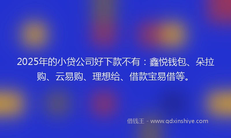 2025年的小贷公司好下款不有：鑫悦钱包、朵拉购、云易购、理想给、借款宝易借等。