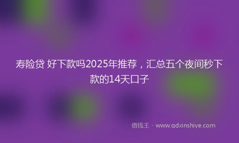 寿险贷 好下款吗2025年推荐，汇总五个夜间秒下款的14天口子