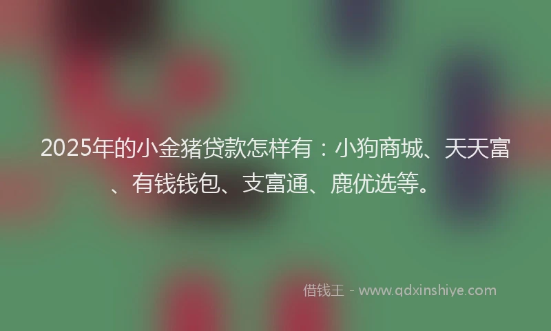 2025年的小金猪贷款怎样有：小狗商城、天天富、有钱钱包、支富通、鹿优选等。