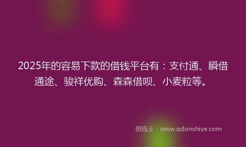 2025年的容易下款的借钱平台有：支付通、瞬借通途、骏祥优购、森森借呗、小麦粒等。