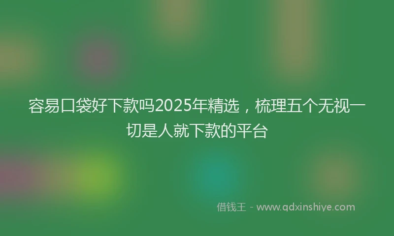 容易口袋好下款吗2025年精选，梳理五个无视一切是人就下款的平台