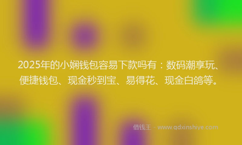 2025年的小娴钱包容易下款吗有：数码潮享玩、便捷钱包、现金秒到宝、易得花、现金白鸽等。