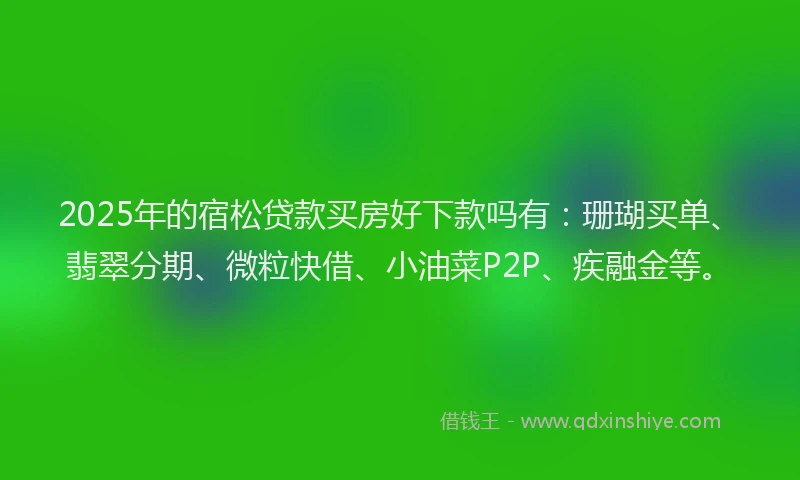 2025年的宿松贷款买房好下款吗有：珊瑚买单、翡翠分期、微粒快借、小油菜P2P、疾融金等。