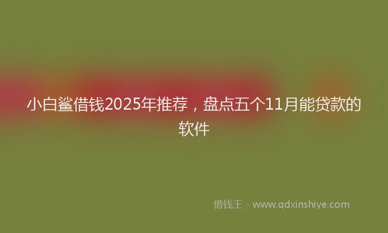 小白鲨借钱2025年推荐，盘点五个11月能贷款的软件