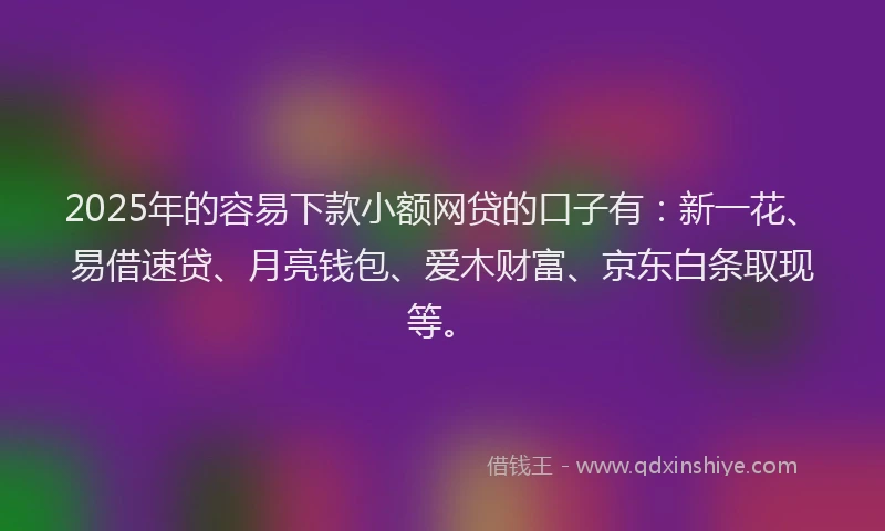 2025年的容易下款小额网贷的口子有：新一花、易借速贷、月亮钱包、爱木财富、京东白条取现等。