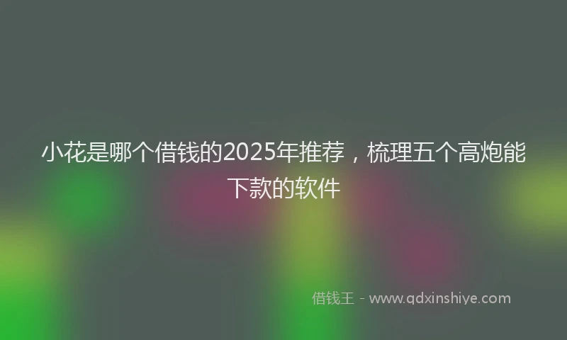 小花是哪个借钱的2025年推荐，梳理五个高炮能下款的软件