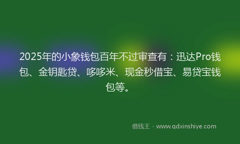 2025年的小象钱包百年不过审查有：迅达Pro钱包、金钥匙贷、哆哆米、现金秒借宝、易贷宝钱包等。