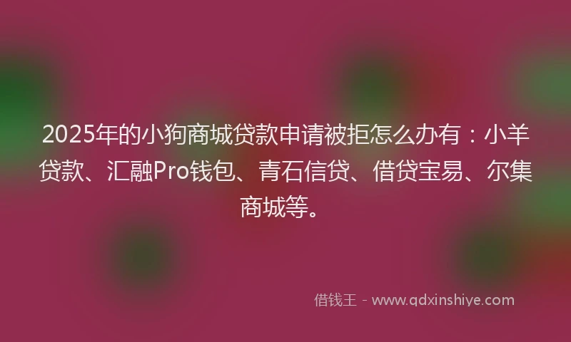 2025年的小狗商城贷款申请被拒怎么办有：小羊贷款、汇融Pro钱包、青石信贷、借贷宝易、尔集商城等。