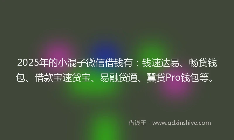 2025年的小混子微信借钱有：钱速达易、畅贷钱包、借款宝速贷宝、易融贷通、翼贷Pro钱包等。