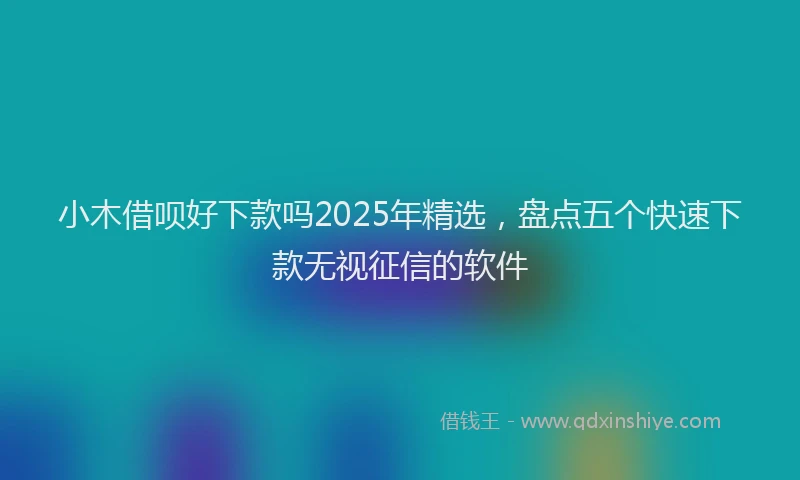 小木借呗好下款吗2025年精选，盘点五个快速下款无视征信的软件
