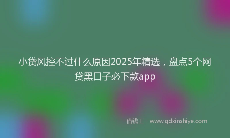 小贷风控不过什么原因2025年精选，盘点5个网贷黑口子必下款app