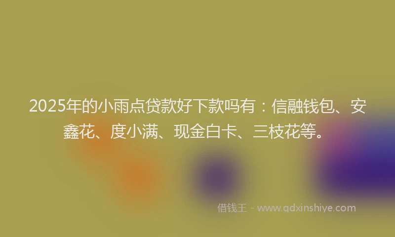 2025年的小雨点贷款好下款吗有：信融钱包、安鑫花、度小满、现金白卡、三枝花等。