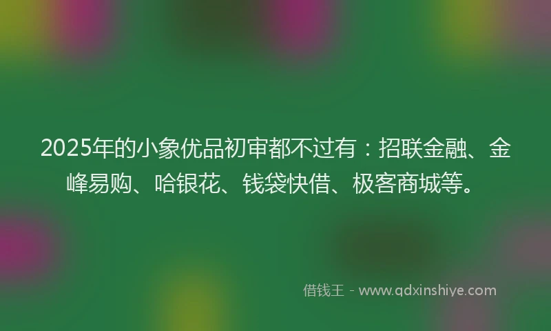 2025年的小象优品初审都不过有：招联金融、金峰易购、哈银花、钱袋快借、极客商城等。