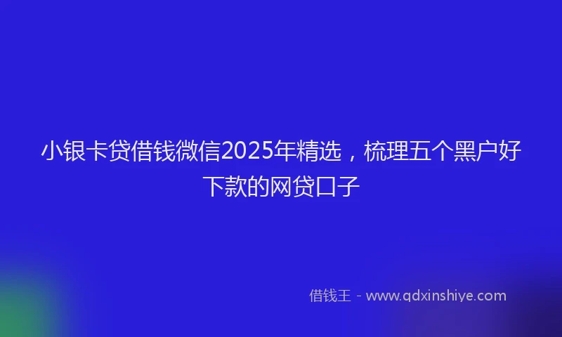 小银卡贷借钱微信2025年精选，梳理五个黑户好下款的网贷口子