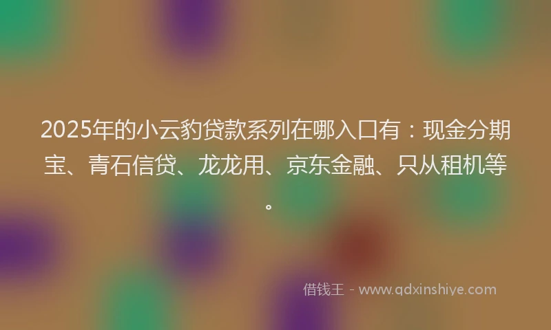 2025年的小云豹贷款系列在哪入口有：现金分期宝、青石信贷、龙龙用、京东金融、只从租机等。