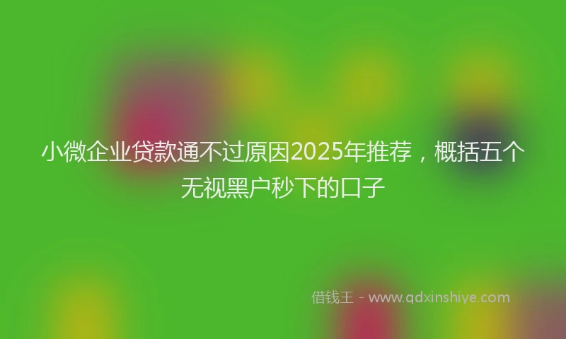 小微企业贷款通不过原因2025年推荐，概括五个无视黑户秒下的口子