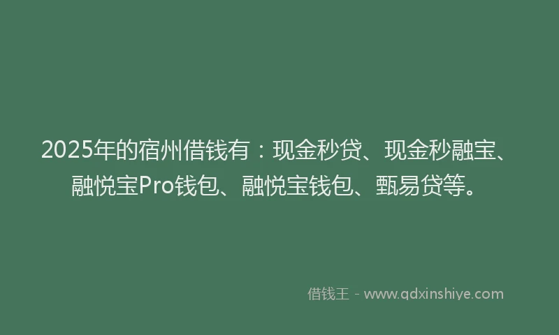 2025年的宿州借钱有：现金秒贷、现金秒融宝、融悦宝Pro钱包、融悦宝钱包、甄易贷等。
