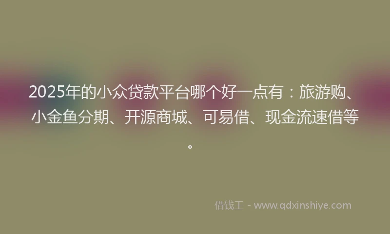 2025年的小众贷款平台哪个好一点有：旅游购、小金鱼分期、开源商城、可易借、现金流速借等。