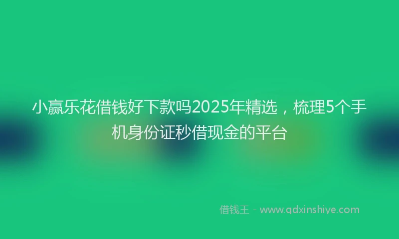 小赢乐花借钱好下款吗2025年精选，梳理5个手机身份证秒借现金的平台