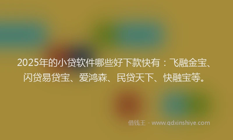 2025年的小贷软件哪些好下款快有：飞融金宝、闪贷易贷宝、爱鸿森、民贷天下、快融宝等。