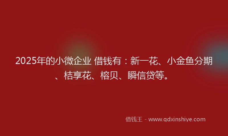 2025年的小微企业 借钱有：新一花、小金鱼分期、桔享花、榕贝、瞬信贷等。