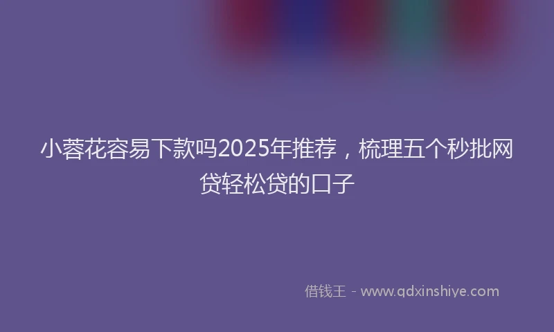 小蓉花容易下款吗2025年推荐，梳理五个秒批网贷轻松贷的口子