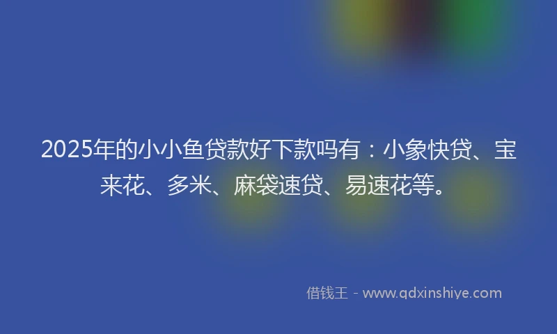 2025年的小小鱼贷款好下款吗有：小象快贷、宝来花、多米、麻袋速贷、易速花等。