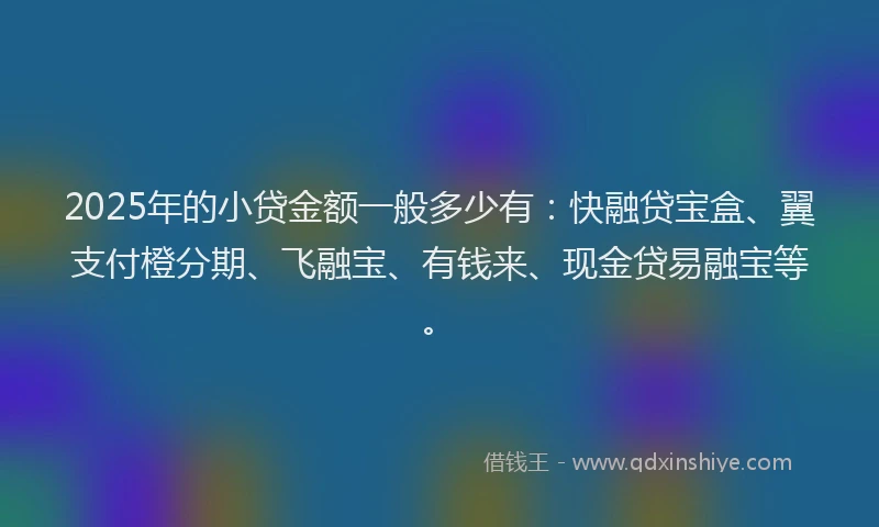2025年的小贷金额一般多少有：快融贷宝盒、翼支付橙分期、飞融宝、有钱来、现金贷易融宝等。
