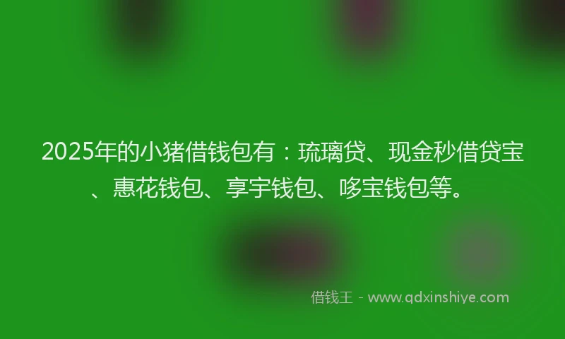 2025年的小猪借钱包有：琉璃贷、现金秒借贷宝、惠花钱包、享宇钱包、哆宝钱包等。