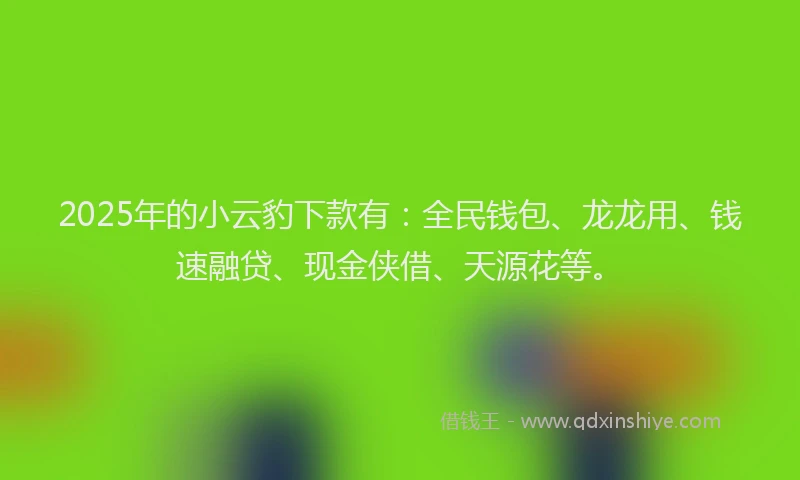 2025年的小云豹下款有：全民钱包、龙龙用、钱速融贷、现金侠借、天源花等。