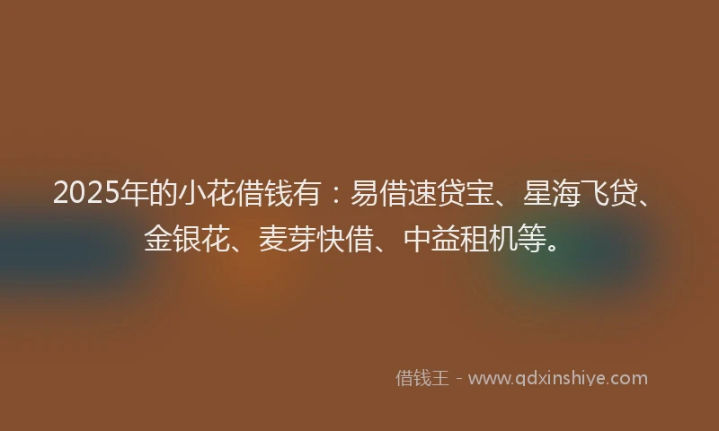 2025年的小花借钱有：易借速贷宝、星海飞贷、金银花、麦芽快借、中益租机等。